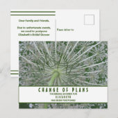 Carte Postale Réunion de mariage Changement de plans Queue de Re (Devant / Derrière)