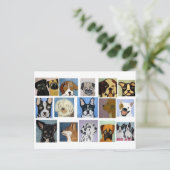 Carte Postale rêve (Debout devant)