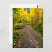 Carte Postale Rêve d'automne (Devant / Derrière)