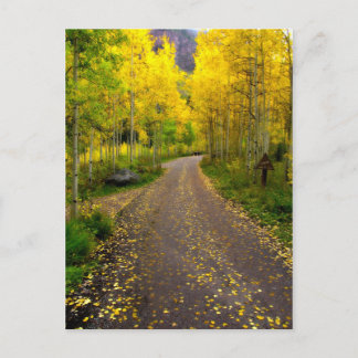 Carte Postale Rêve d'automne