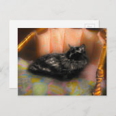 Carte Postale Rêve de chat noir (Devant / Derrière)