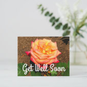 Carte postale Rêve de guérison Rose #3 (Debout devant)