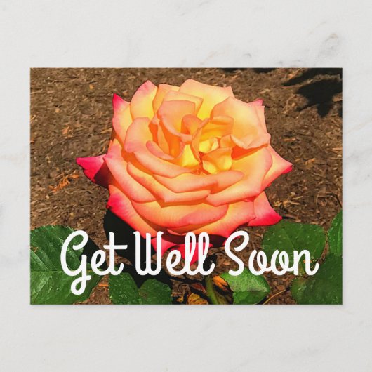 Carte postale Rêve de guérison Rose #3 (Devant)
