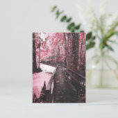 Carte Postale rêve de marécage sain (Debout devant)