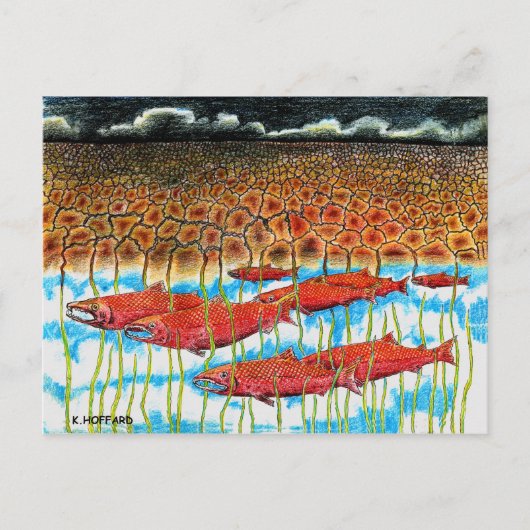 Carte Postale Rêve de poisson (Devant)