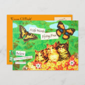 Carte Postale Rêve De Vol - Vintage (Devant / Derrière)