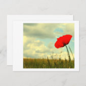 Carte Postale rêve d'été (Devant / Derrière)