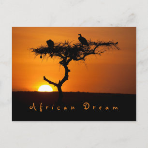 Carte Postale Rêve romantique d'Afrique photo coucher de soleil 