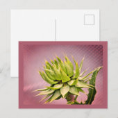 Carte Postale rêve vert (Devant / Derrière)