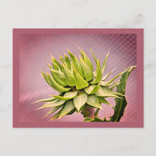 Carte Postale rêve vert (Devant)