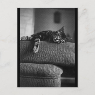 Carte Postale Rêver