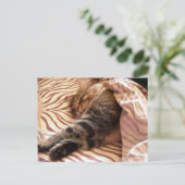 Carte Postale Rêver du veld (Debout devant)