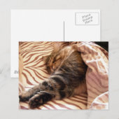 Carte Postale Rêver du veld (Devant / Derrière)