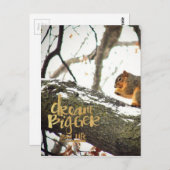 Carte Postale Rêver plus grand que l'écureuil (Devant / Derrière)