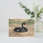 Carte Postale Rêver sur la mer (Debout devant)