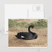 Carte Postale Rêver sur la mer (Devant / Derrière)