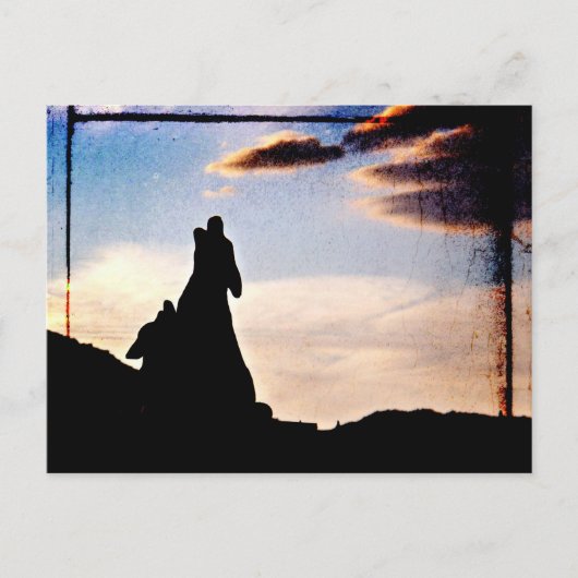 Carte Postale Rêves de coucher de soleil (Devant)