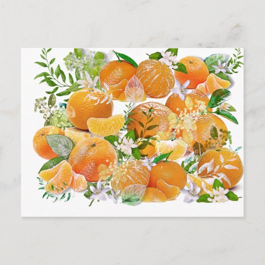 Carte Postale Rêves de Tangerine (Devant)
