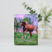 Carte Postale Rêves du printemps, Sorrel Trotting (Debout devant)