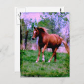 Carte Postale Rêves du printemps, Sorrel Trotting (Devant / Derrière)