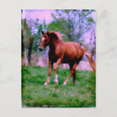 Carte Postale Rêves du printemps, Sorrel Trotting (Devant)