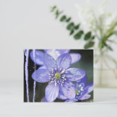 Carte Postale Rêves Violets (Debout devant)