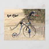 Carte Postale Rex Rider (Devant)