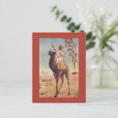 Carte Postale Rexki - Roi des avant-dîners Liqueurs (Debout devant)