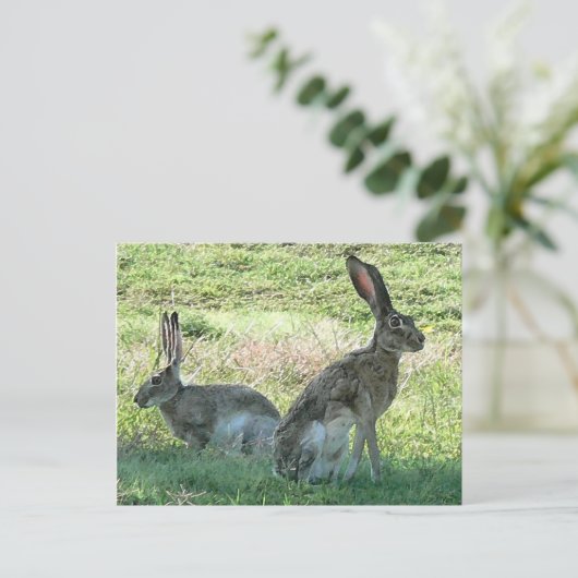 Carte postale RHC (Debout devant)