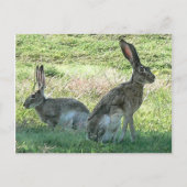 Carte postale RHC (Devant)