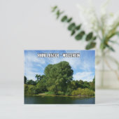 Carte postale Rhinelander Wisconsin (Debout devant)