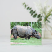 Carte Postale Rhinino4x6 (Debout devant)