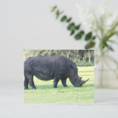 Carte postale Rhino (Debout devant)