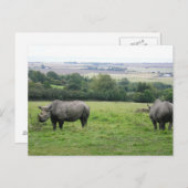Carte Postale rhino (Devant / Derrière)