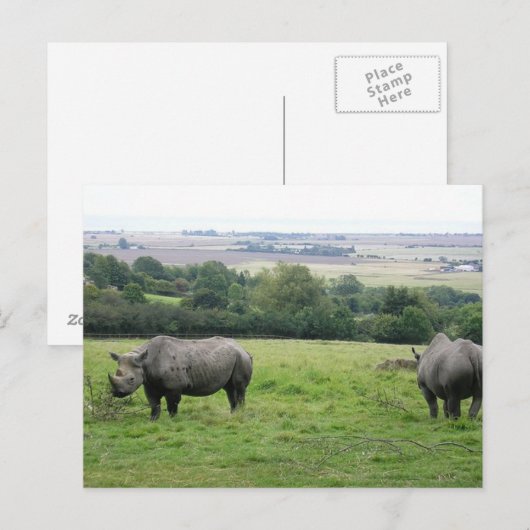 Carte Postale rhino (Devant / Derrière)