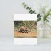 Carte Postale Rhino (Debout devant)