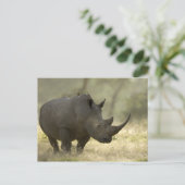 Carte Postale Rhino (Debout devant)