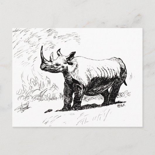 CARTE POSTALE RHINO (Devant)
