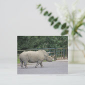 Carte Postale Rhino (Debout devant)
