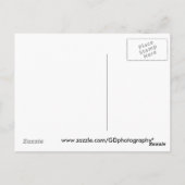 Carte Postale Rhino (Dos)