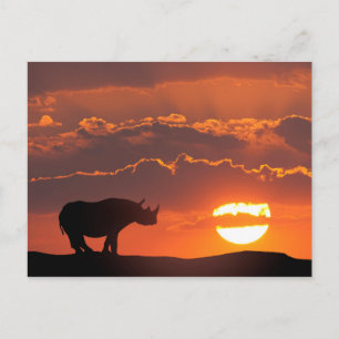 Carte Postale Rhino au coucher du soleil, Masai Mara, Kenya