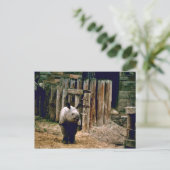 Carte Postale Rhino indien (Debout devant)