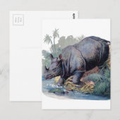 Carte Postale Rhino vintage (Devant / Derrière)