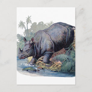 Carte Postale Rhino vintage