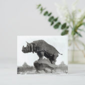 Carte Postale Rhinocéros (Debout devant)