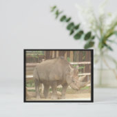 Carte Postale Rhinoceros (Debout devant)