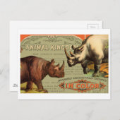 Carte Postale Rhinoceros (Devant / Derrière)