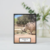 Carte postale Rhinoceros (Debout devant)