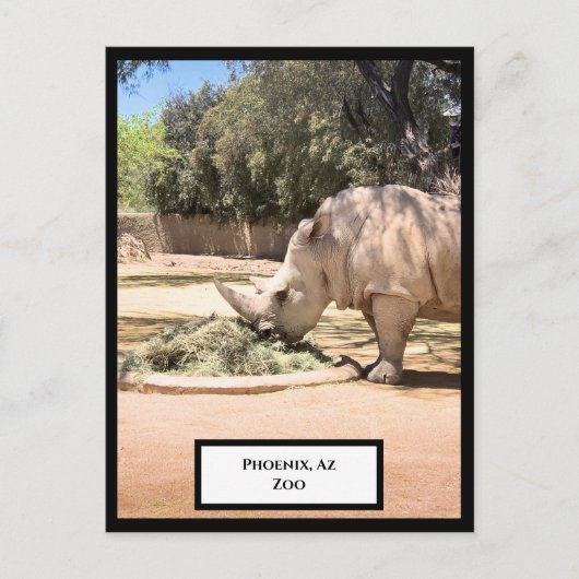 Carte postale Rhinoceros (Devant)