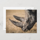 Carte Postale Rhinoceros (Devant / Derrière)
